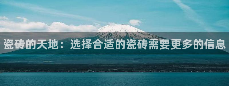 富联娱乐公司简介资料:瓷砖的天地:选择合适的瓷砖需要更多的信息